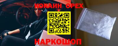 индика Дубна