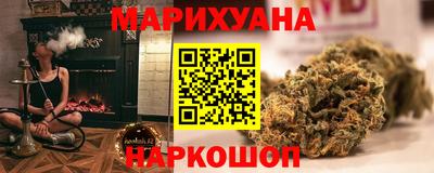 индика Дубна