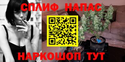 МДПВ Донской