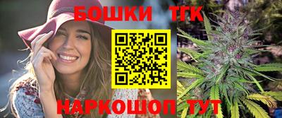 индика Дубна