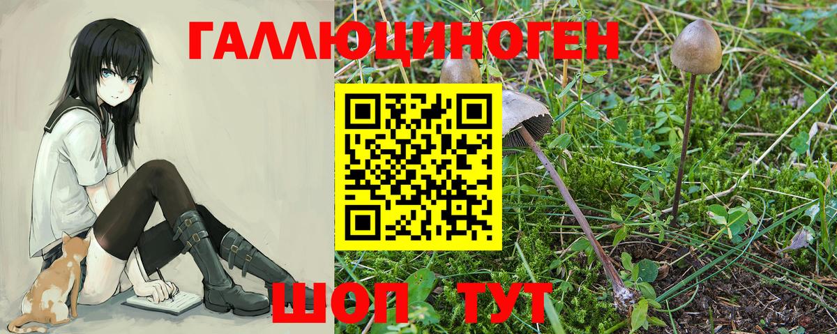Галлюциногенные грибы MAGIC MUSHROOMS  купить  цена  Королёв  Вход с VPN  Галлюциногенные грибы мухоморы 
