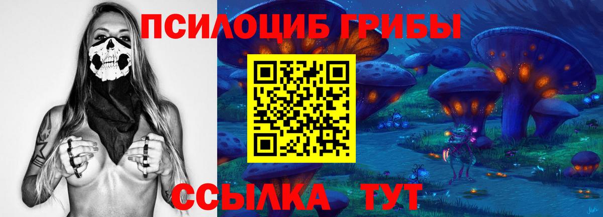 Псилоцибиновые грибы Cubensis Королёв